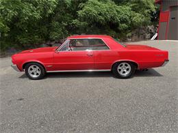 1964 Pontiac GTO (CC-2078224) for sale in Annandale, Minnesota