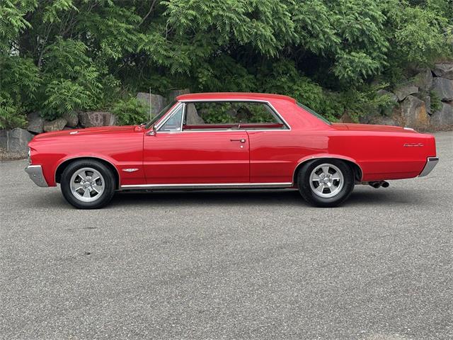 1964 Pontiac GTO (CC-2078224) for sale in Annandale, Minnesota