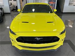 2021 Ford Mustang (CC-2078299) for sale in Jacksonville, Florida