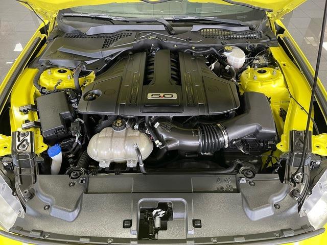 2021 Ford Mustang (CC-2078299) for sale in Jacksonville, Florida