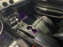 2021 Ford Mustang (CC-2078299) for sale in Jacksonville, Florida