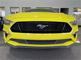 2021 Ford Mustang (CC-2078299) for sale in Jacksonville, Florida