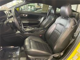 2021 Ford Mustang (CC-2078299) for sale in Jacksonville, Florida