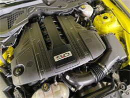 2021 Ford Mustang (CC-2078299) for sale in Jacksonville, Florida