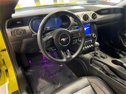 2021 Ford Mustang (CC-2078299) for sale in Jacksonville, Florida