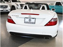 2014 Mercedes-Benz SLK-Class (CC-2078305) for sale in Addison, Illinois