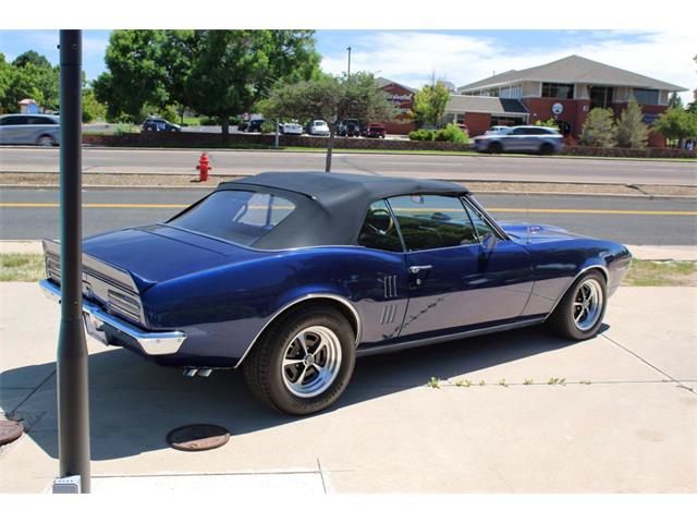 1967 Pontiac Firebird (CC-2078356) for sale in Greeley, Colorado