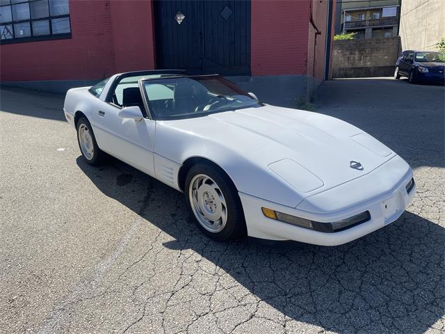 1991 Chevrolet Corvette (CC-2078392) for sale in Mill Hall, Pennsylvania