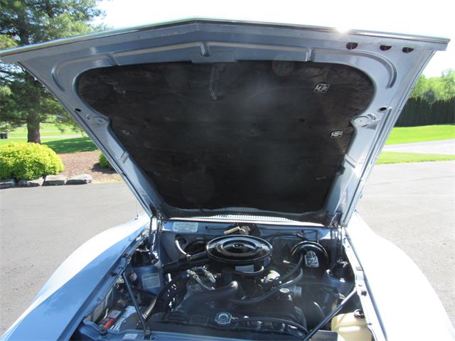 1974 AMC Javelin (CC-2078412) for sale in Mill Hall, Pennsylvania
