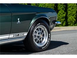 1968 Shelby GT350 (CC-2078416) for sale in Buford, Georgia