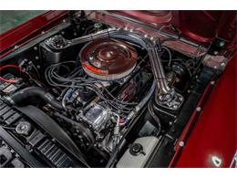 1968 Ford Mustang (CC-2078421) for sale in sherman, Texas
