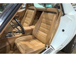 1975 Chevrolet Corvette (CC-2078437) for sale in Kentwood, Michigan