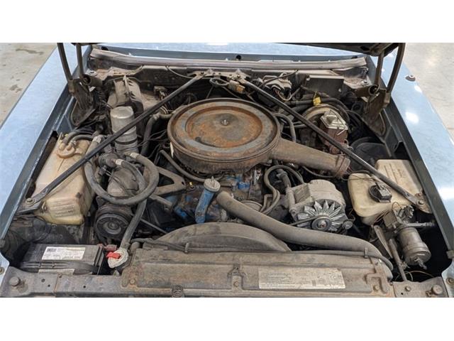 1979 Cadillac Seville (CC-2078484) for sale in Mankato, Minnesota