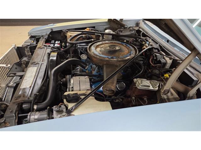 1979 Cadillac Seville (CC-2078484) for sale in Mankato, Minnesota