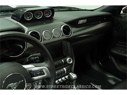 2023 Ford Mustang (CC-2078487) for sale in Lutz, Florida