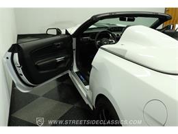 2023 Ford Mustang (CC-2078487) for sale in Lutz, Florida