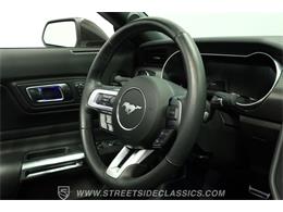 2023 Ford Mustang (CC-2078487) for sale in Lutz, Florida