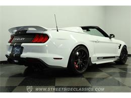 2023 Ford Mustang (CC-2078487) for sale in Lutz, Florida