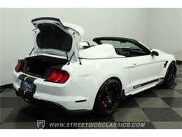 2023 Ford Mustang (CC-2078487) for sale in Lutz, Florida