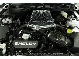 2023 Ford Mustang (CC-2078487) for sale in Lutz, Florida