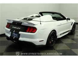 2023 Ford Mustang (CC-2078487) for sale in Lutz, Florida