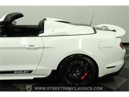 2023 Ford Mustang (CC-2078487) for sale in Lutz, Florida