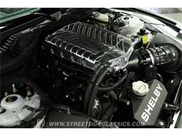 2023 Ford Mustang (CC-2078487) for sale in Lutz, Florida