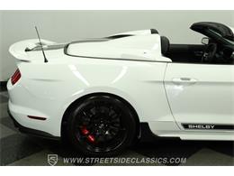 2023 Ford Mustang (CC-2078487) for sale in Lutz, Florida