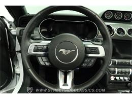 2023 Ford Mustang (CC-2078487) for sale in Lutz, Florida