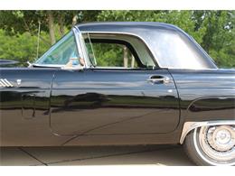1956 Ford Thunderbird (CC-2078488) for sale in Grapevine, Texas