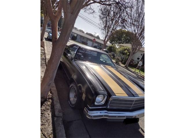 1974 Chevrolet El Camino (CC-2078493) for sale in Cadillac, Michigan