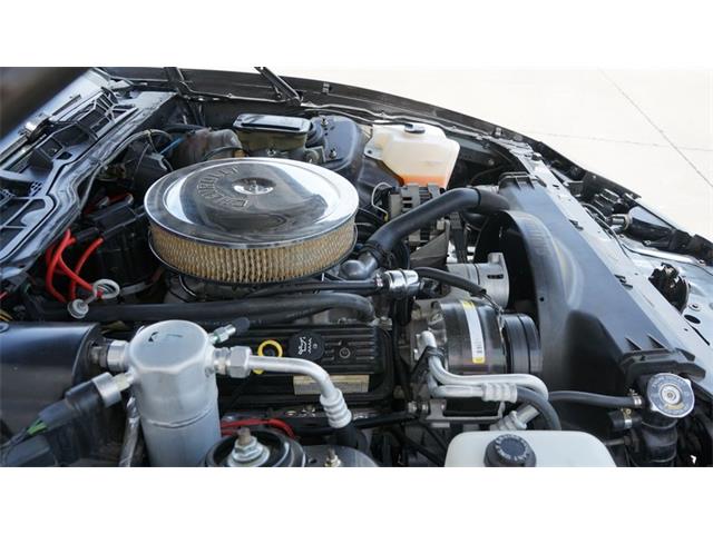 1984 Pontiac Firebird (CC-2078494) for sale in Grapevine, Texas