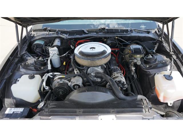 1984 Pontiac Firebird (CC-2078494) for sale in Grapevine, Texas
