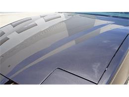 1984 Pontiac Firebird (CC-2078494) for sale in Grapevine, Texas
