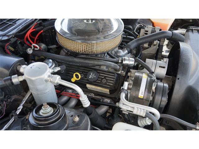 1984 Pontiac Firebird (CC-2078494) for sale in Grapevine, Texas