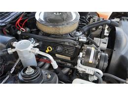 1984 Pontiac Firebird (CC-2078494) for sale in Grapevine, Texas