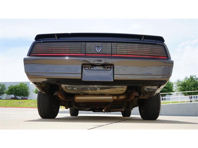 1984 Pontiac Firebird (CC-2078494) for sale in Grapevine, Texas