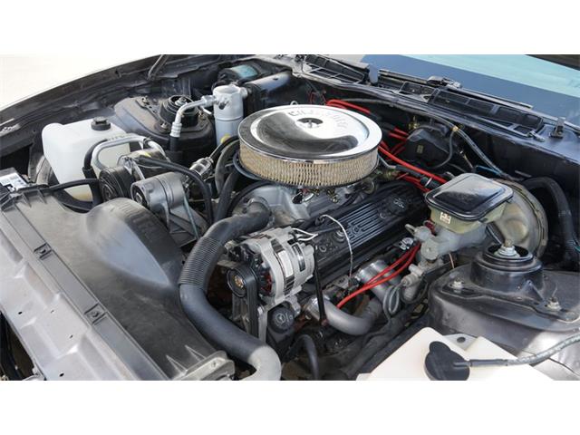 1984 Pontiac Firebird (CC-2078494) for sale in Grapevine, Texas