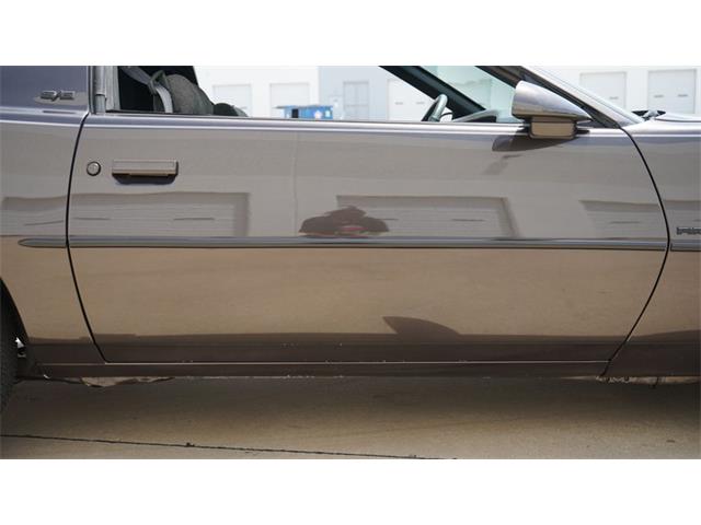 1984 Pontiac Firebird (CC-2078494) for sale in Grapevine, Texas