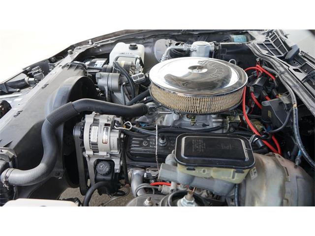 1984 Pontiac Firebird (CC-2078494) for sale in Grapevine, Texas