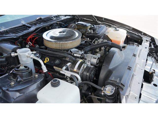 1984 Pontiac Firebird (CC-2078494) for sale in Grapevine, Texas
