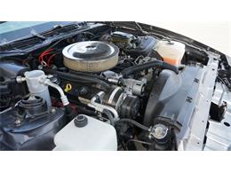 1984 Pontiac Firebird (CC-2078494) for sale in Grapevine, Texas