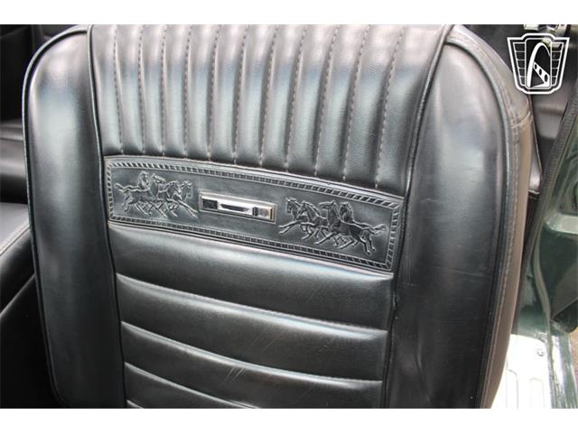 1966 Ford Mustang (CC-2078498) for sale in Lake Mary, Florida