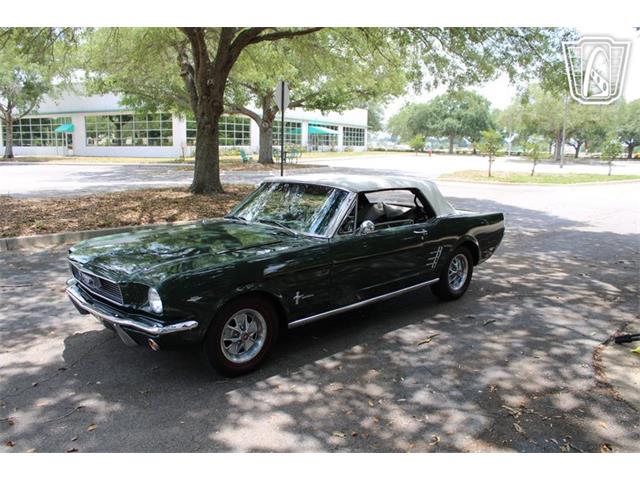 1966 Ford Mustang (CC-2078498) for sale in Lake Mary, Florida