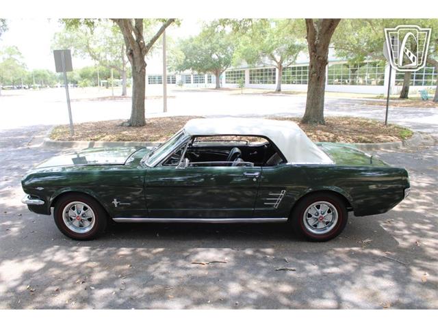 1966 Ford Mustang (CC-2078498) for sale in Lake Mary, Florida