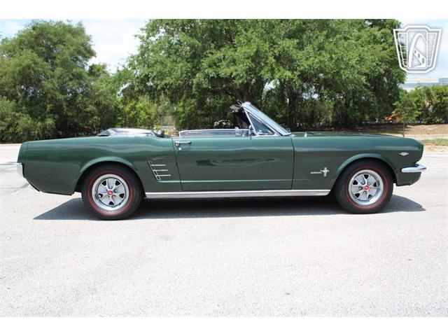 1966 Ford Mustang (CC-2078498) for sale in Lake Mary, Florida