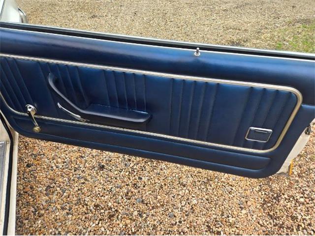 1979 Ford Granada (CC-2078503) for sale in Cadillac, Michigan