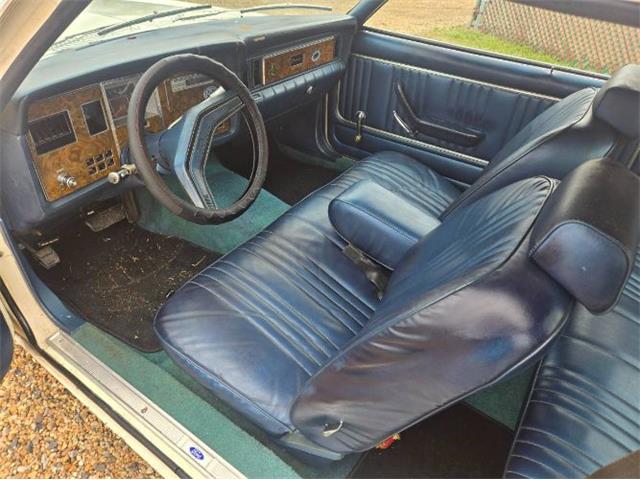 1979 Ford Granada (CC-2078503) for sale in Cadillac, Michigan