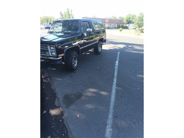 1985 Chevrolet Blazer (CC-2078505) for sale in Cadillac, Michigan