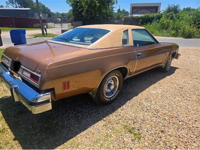 1976 Chevrolet Malibu (CC-2078508) for sale in Cadillac, Michigan